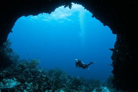 curacao diving reviews